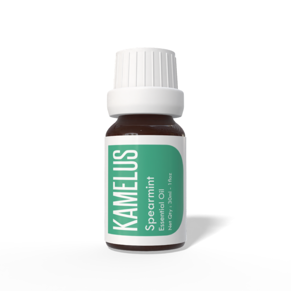 Spearmint